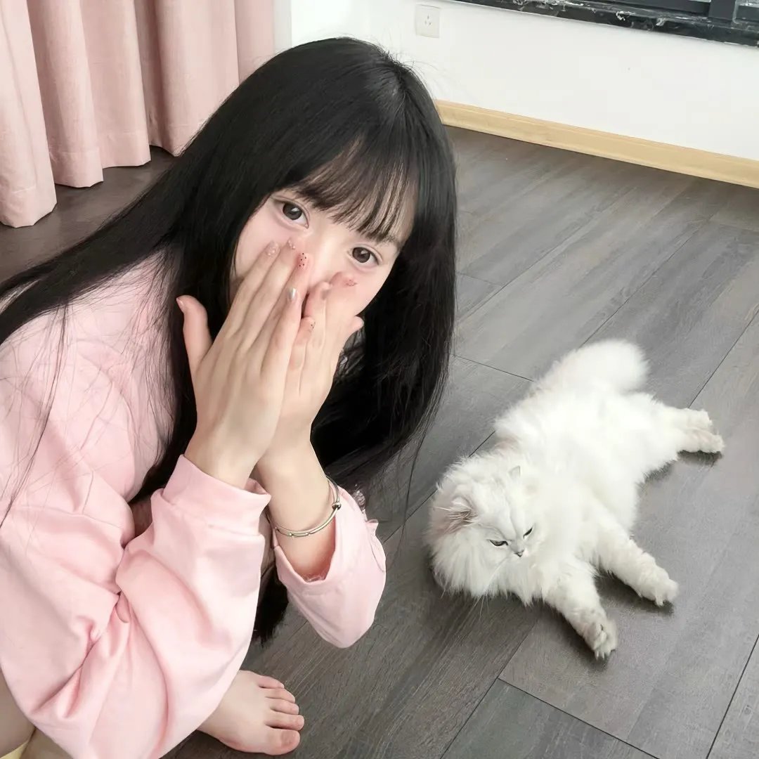 东京白日梦女